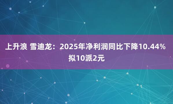 上升浪 雪迪龙：2025年净利润同比下降10.44% 拟10派2元