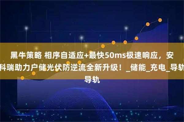 黑牛策略 相序自适应+最快50ms极速响应，安科瑞助力户储光伏防逆流全新升级！_储能_充电_导轨